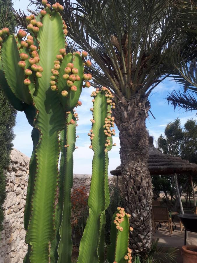 La Maison D'Helene Essaouira Al Ghar Exteriér fotografie