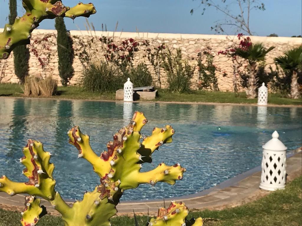 La Maison D'Helene Essaouira Al Ghar Exteriér fotografie